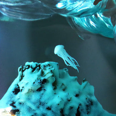 Resin Bordlampe – Wave Shark